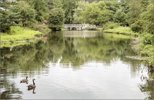 Cadbury lake photo